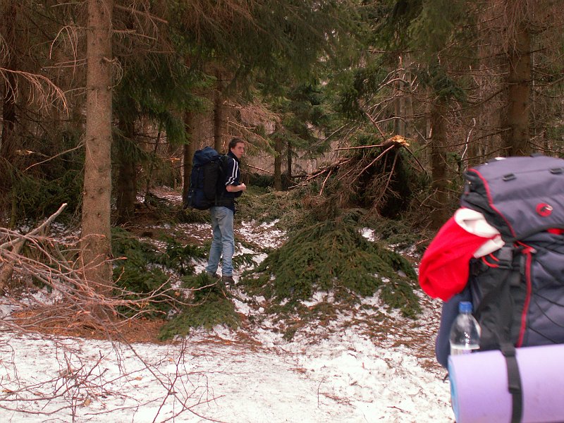 PICT0017.JPG - Snehu a pováľaných stromov začalo pribúdať
