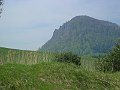 PICT0005
