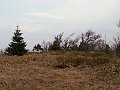 PICT0036