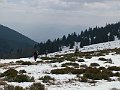 PICT0098