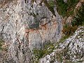 PICT0063