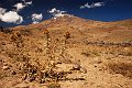 iran001022