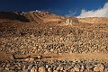 iran001061