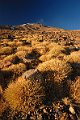 iran001067