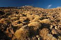 iran001068