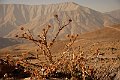 iran001121