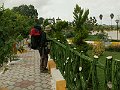 iran001134