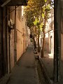 iran001174