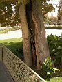 iran001184