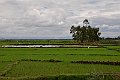DSC_0032