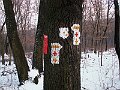 PICT0014