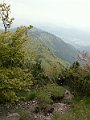 PICT0021