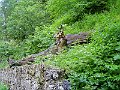 PICT0227
