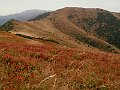 PICT0177