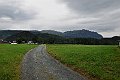 DSC_0871