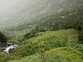 PICT0029