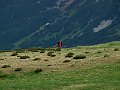 PICT0040
