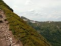 PICT0050