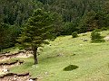 PICT0340