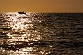 PICT0274b