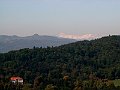 PICT0338
