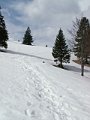 fackov_strecno