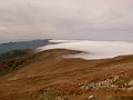 nizketatry