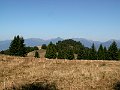 PICT0040