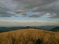 PICT0115