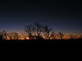 PICT0016