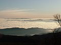 PICT0054
