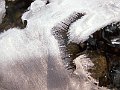 PICT0086