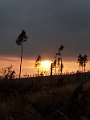 PICT0095